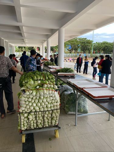 南新第二管理站党支部开展迎新春助农销售活动，平价保供暖民心